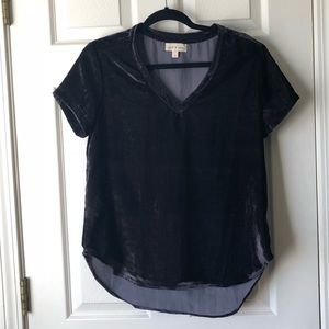 Anthropologie Velvet blouse